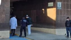 Mujer muere tras picadura de araña viuda negra en Montemorelos