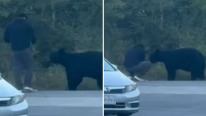 Video: Automovilista da comida a oso en la Carretera Nacional en Monterrey
