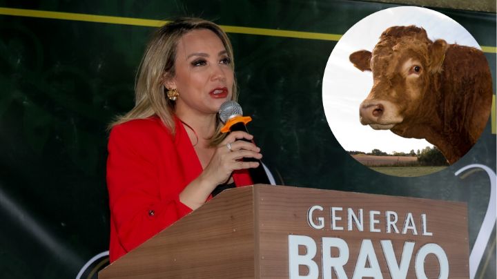 Sufre alcaldesa de General Bravo caída de toro durante cabalgata