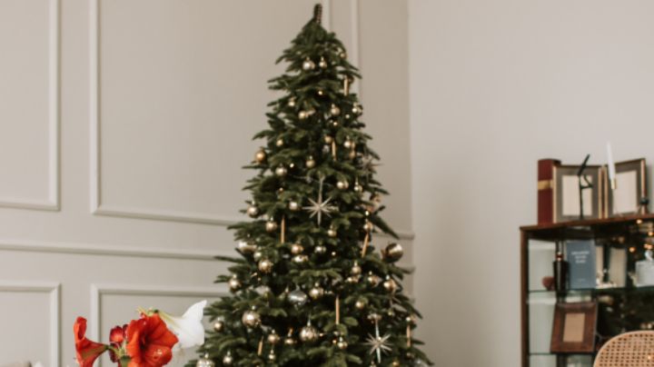 Qué pino de Navidad comprar según el espacio de tu hogar