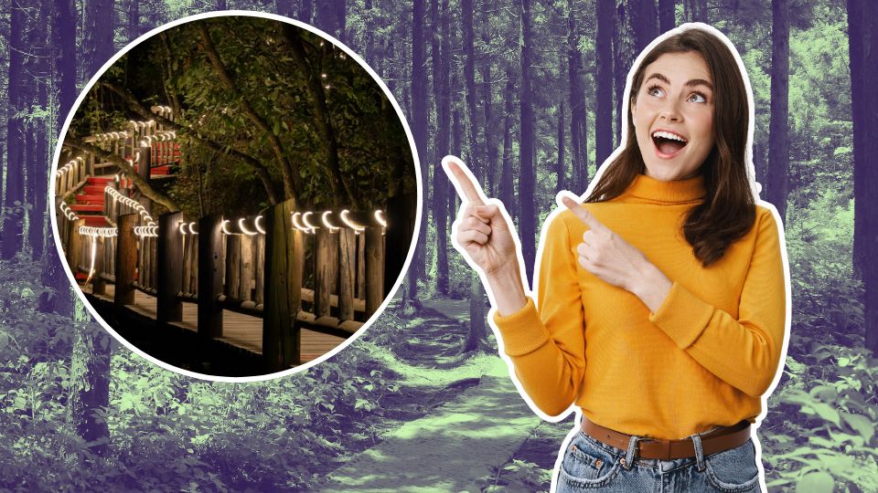 Conoce donde se encuentra ubicado el puente iluminado.