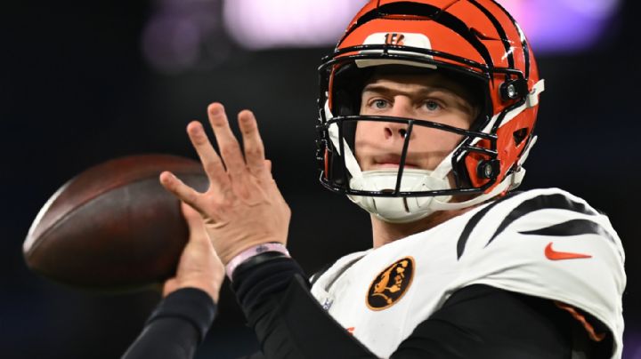 NFL: Los Bengals le amargan el pavo a los Ravens en el Día de Acción de Gracias