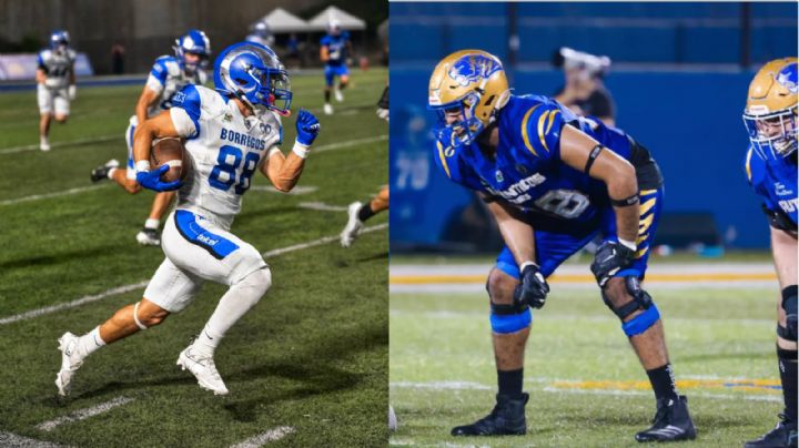 ¿Cuándo y dónde ver la final de la ONEFA 2025, Auténticos Tigres contra Borregos del Tec?