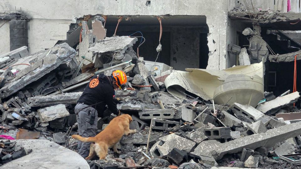 Binomios caninos se encuentran en el lugar donde ocurrió el accidente.