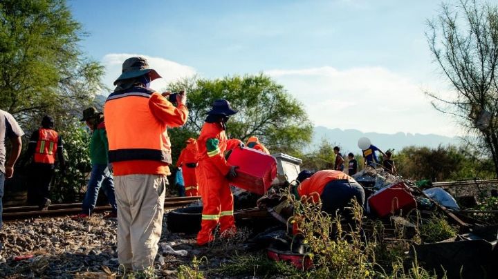 División Ambiental reporta 86 detenciones a tres meses de su creación