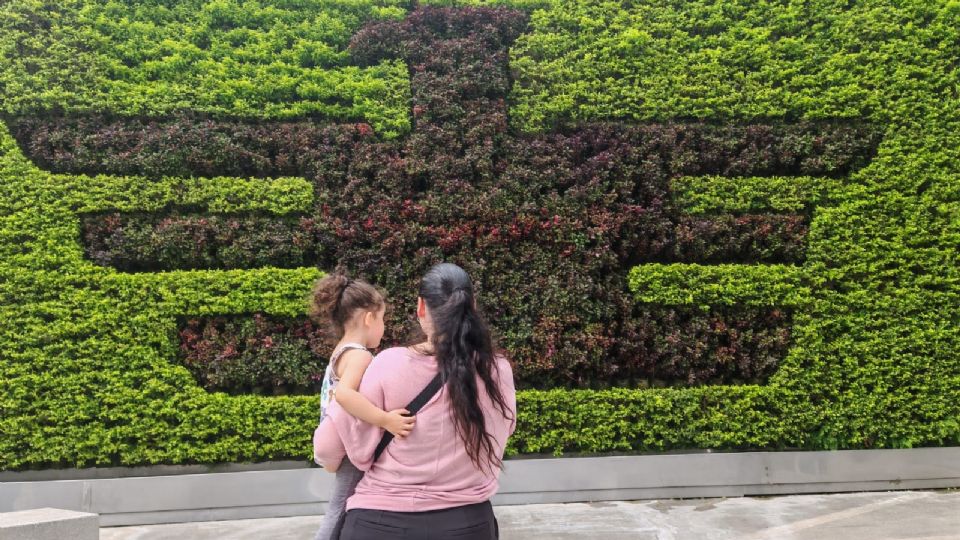 Atrae FGR caso de niña presuntamente abusada en Canadá.