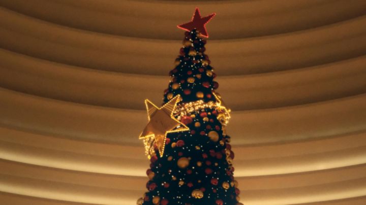 ¿A qué hora es el encendido del pino en Monterrey?