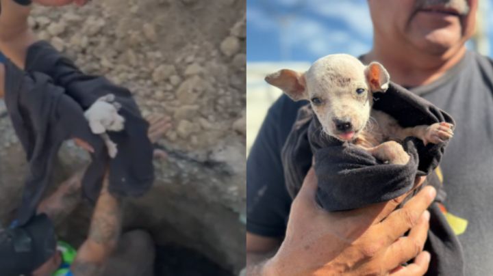 VIDEO: Rescatan con vida a cachorrito que cayó a una tubería en Escobedo