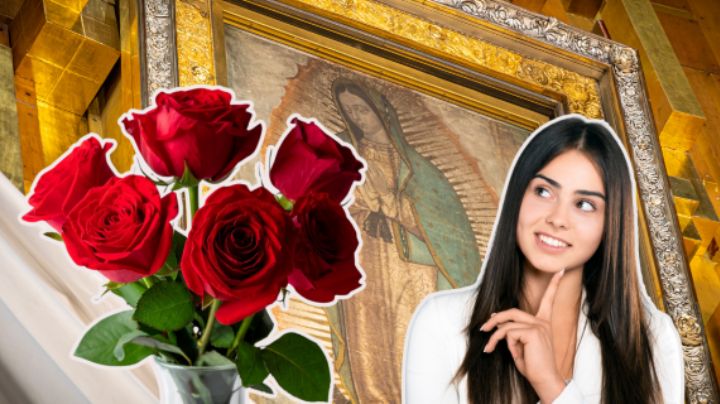 ¿Por qué las rosas son tan importantes el 12 de diciembre? Precios y dónde comprarlas