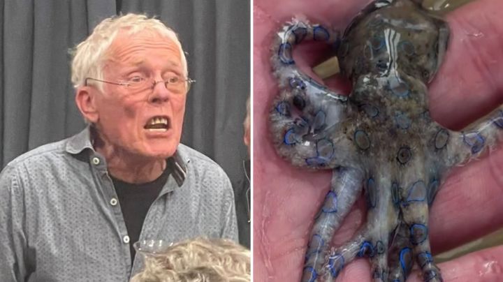 Turista juega con pulpo de anillos azules, uno de los animales más venenosos del mundo