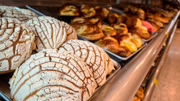Dónde encontrar el mejor pan dulce de Monterrey, según la IA