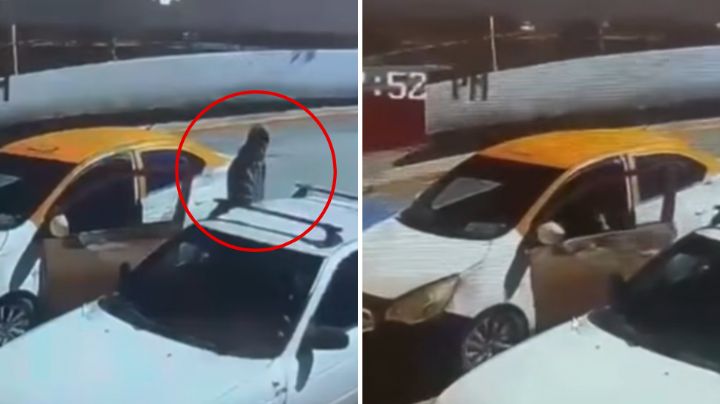 ¡No habrá barbacoa! Captan a taxista robando cabezas de res en El Carmen