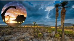 Descubren huellas de dinosaurios en Tehuacán, Puebla