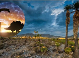 Descubren huellas de dinosaurios en Tehuacán, Puebla