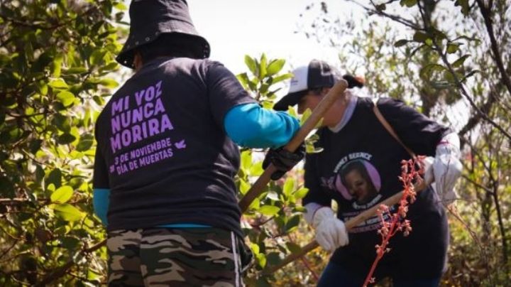Colectivos hallan 20 restos óseos humanos en zona boscosa de CDMX