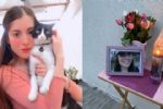 Senderista asegura que lugar donde fue hallado cuerpo de Ana Carolina no es mortal
