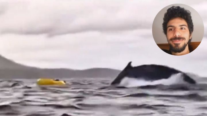 Ballena traga y escupe a joven mientras navegaba en las costas de Chile
