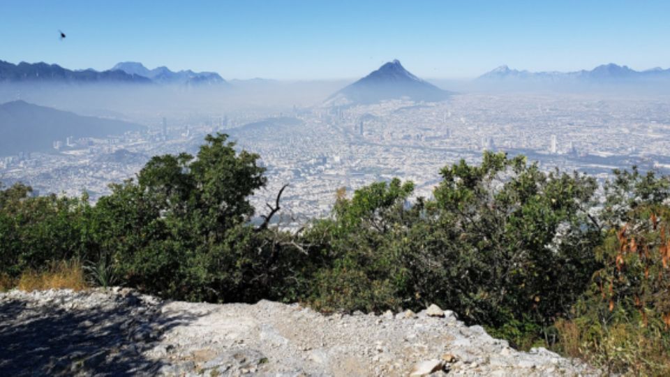 Medio ambiente en Nuevo León.