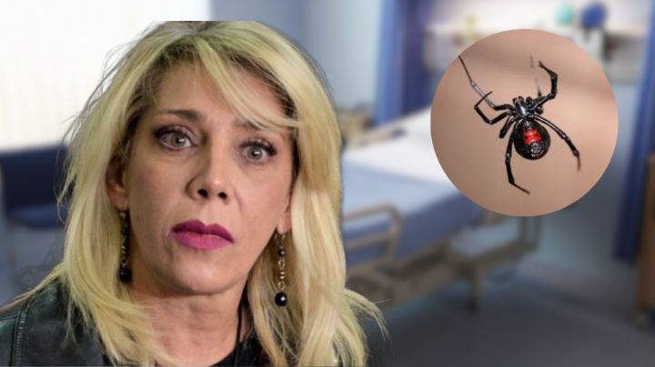 Cynthia Klitbo es hospitalizada de emergencia por picadura de una araña viuda negra