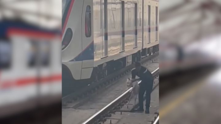 Hombre salva a lomito de las vías del Metro en NL