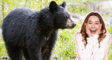 ¿Día del oso en Nuevo León? Posible fecha y lugar en donde se celebrará