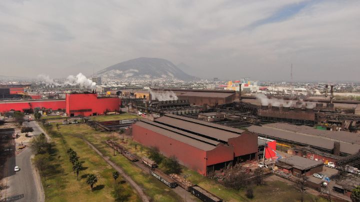 En la UANL, junto a plantas de Ternium, alarma plomo en aves