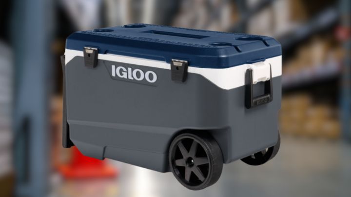 Igloo retira más de 20 mil hieleras en México: ¿Cuál es el problema?