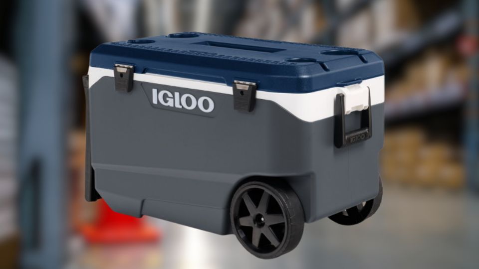 Hielera Igloo peligrosa es retirada de las tiendas