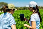 Plantean el uso de la inteligencia artificial en el campo para cuidar del agua en NL