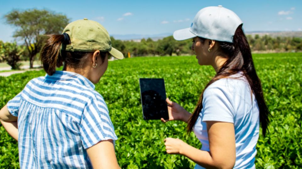 Uso de la inteligencia artificial en el proceso de agricultura.