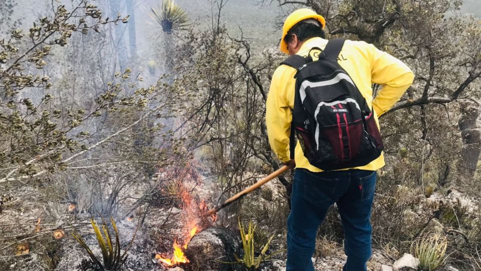 Protección Civil Tamaulipas atiende incendio forestal | Protección Civil de Tamaulipas