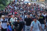 Proponen reforma para dar identidad a jóvenes migrantes en Tamaulipas