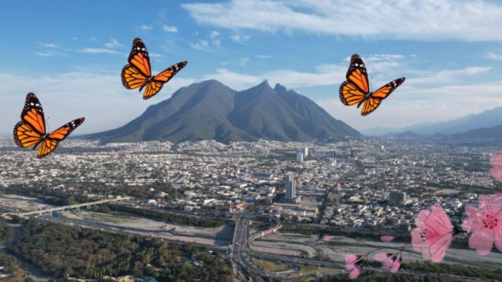 ¿Qué es y cuándo inicia la primavera meteorológica en México?