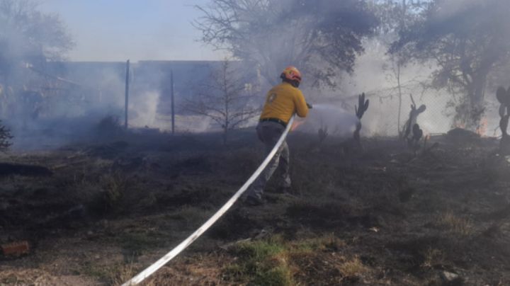 NL registra este martes 25 de febrero 130 reportes de incendios