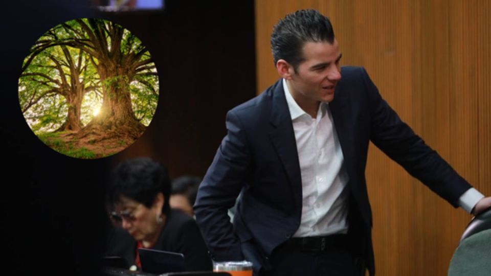 El coordinador de la bancada de Movimiento Ciudadano en el Congreso del Estado, Miguel Ángel Flores, se mostró a favor de la reactivación de las alertas ambientales.