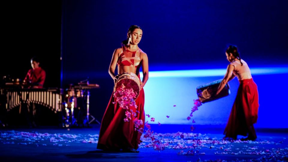 Sitio Opuesto espectáculo de danza contemporánea.