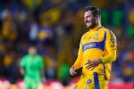 Gignac, el terco