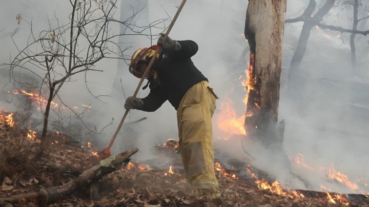 Nuevo León prohibirá fogatas y quemas controladas para prevenir incendios