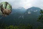 Video: Captan especie invasora en las montañas de Nuevo León
