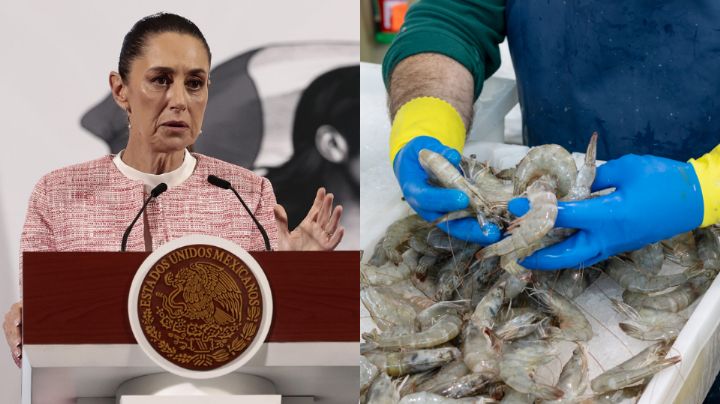 El mundo tiene un gusto más refinado: Camaroneros de Ecuador le responden a Sheinbaum
