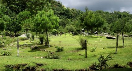 Medio Ambiente y diputados buscan transformar el desarrollo ecológico en Tamaulipas