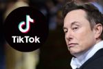 Elon Musk: 'no he hecho ninguna oferta' para comprar TikTok en EU