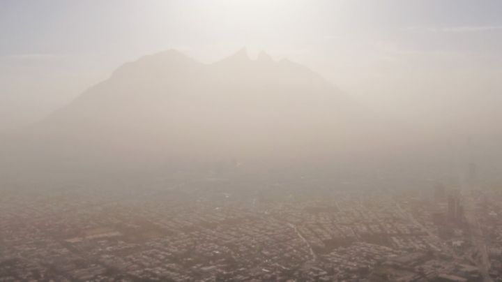 Se registran en NL 37 delitos contra el medio ambiente durante 2024