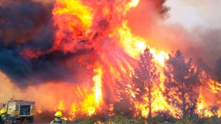 Incendios forestales consumen más de 36 mil hectáreas en Argentina