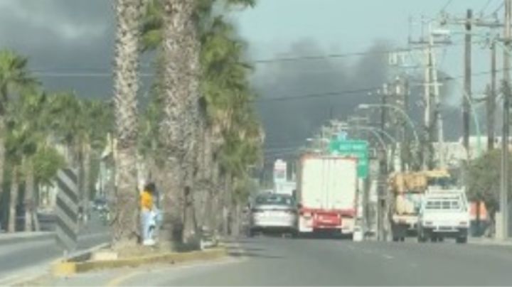 Se incendia terreno baldío en la zona norte de Guadalupe