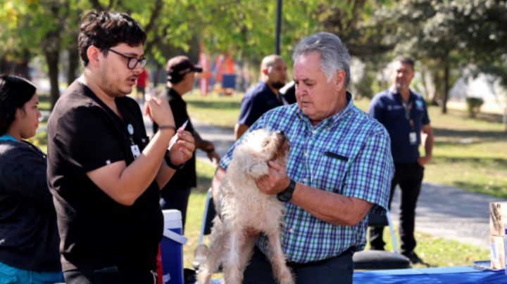 Realizarán brigada de salud para perros y gatos en San Nicolás, ¿A partir de cuándo?
