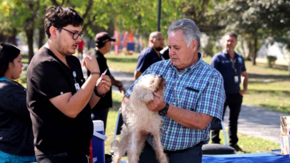 Brigada de salud para perros y gatos.