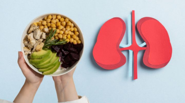 Día del riñón: 5 alimentos que debes evitar para proteger este órgano | Recomendaciones