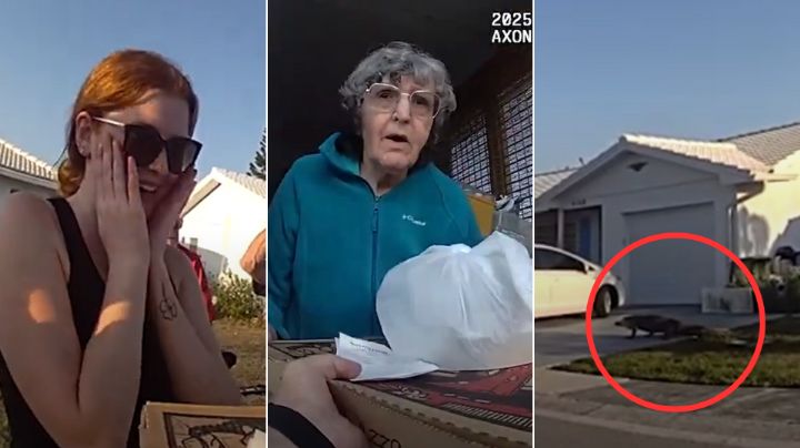 Caimán irrumpe en entrega de pizza y policía hace de repartidor en Florida