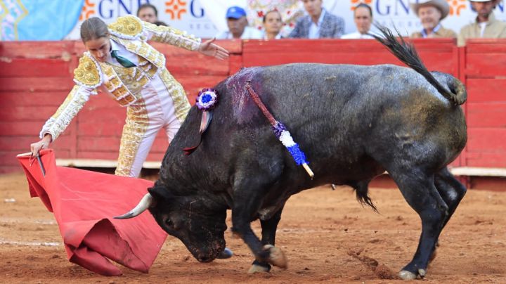 Gobierno de CDMX busca prohibir corridas de toros sangrientas